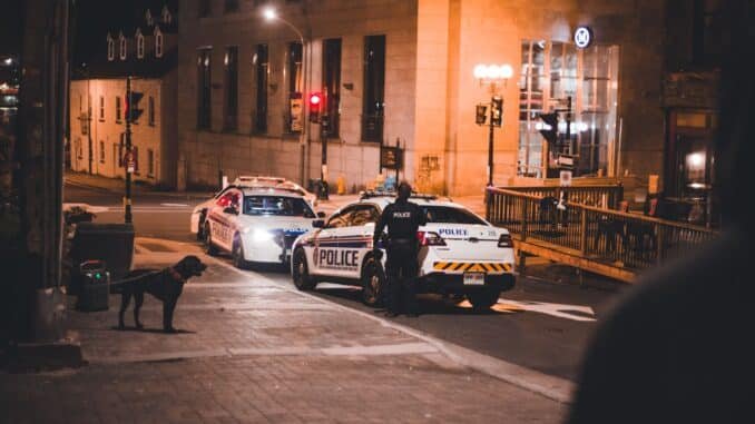 Police cars and officers in an urban street at night, creating a dynamic city vibe.
